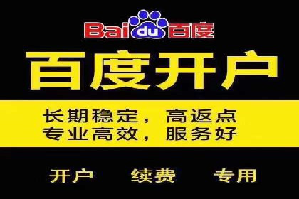 案例分析：如何通过百度推广实现精准引流